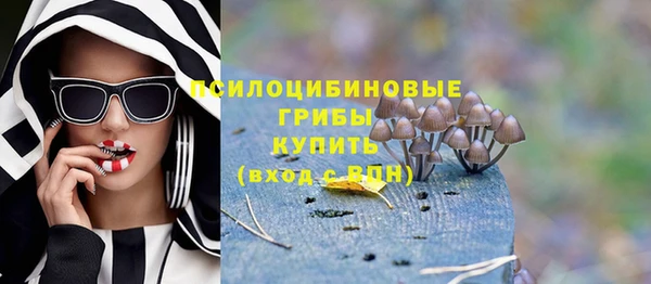 прущий лед Дмитров