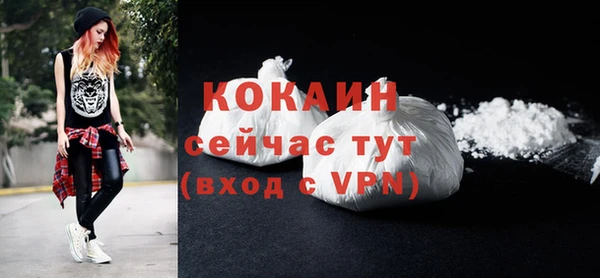 молекула духа Дмитриев