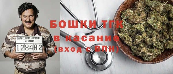 молекула духа Дмитриев