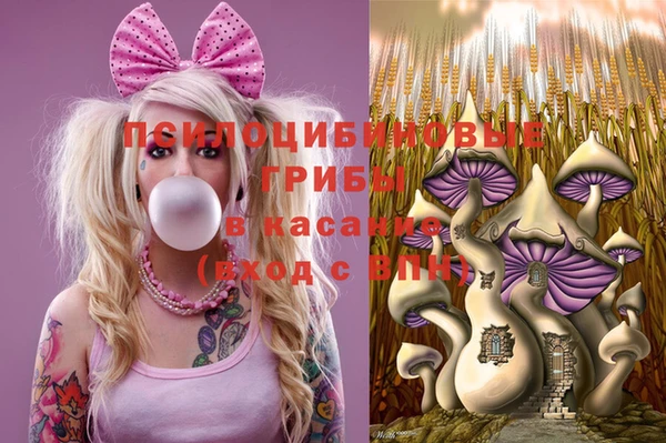 не бодяженный Дмитровск