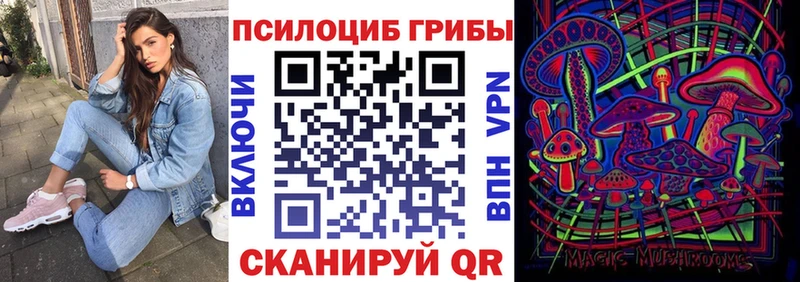 наркота  Хотьково  Псилоцибиновые грибы мицелий 