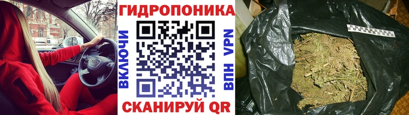 продажа наркотиков Хотьково кракен зеркало Шишки марихуана семена